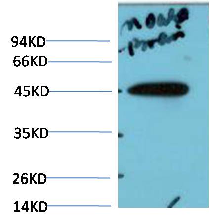 意大利贵宾会-贵宾会官方网站入口