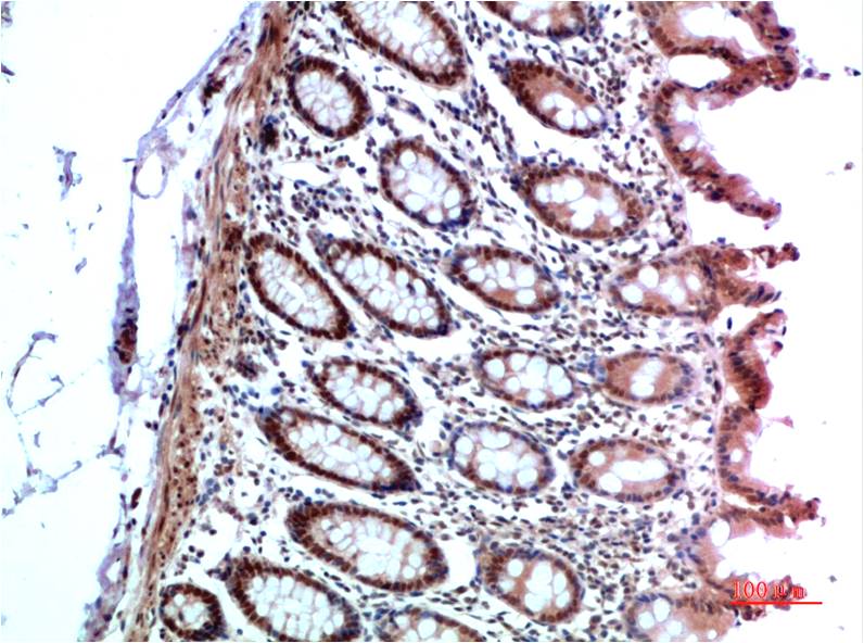 意大利贵宾会-贵宾会官方网站入口
