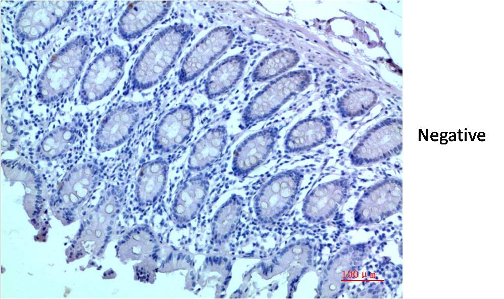 意大利贵宾会-贵宾会官方网站入口