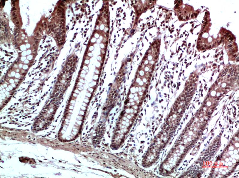 意大利贵宾会-贵宾会官方网站入口