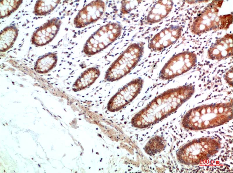 意大利贵宾会-贵宾会官方网站入口