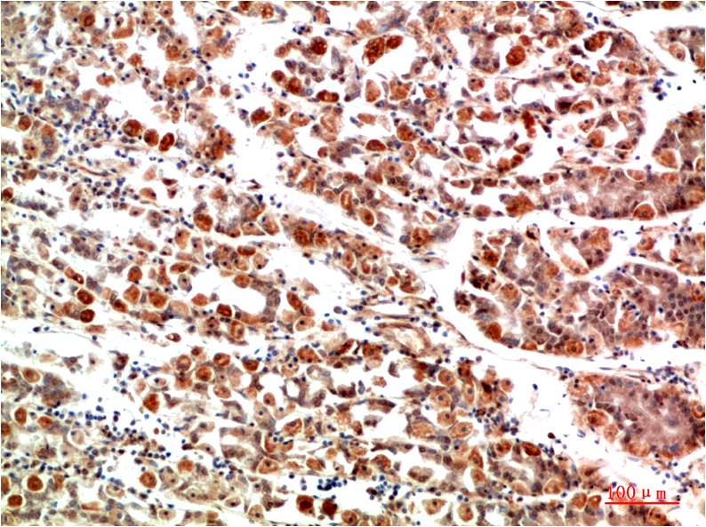 意大利贵宾会-贵宾会官方网站入口