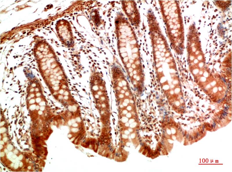 意大利贵宾会-贵宾会官方网站入口