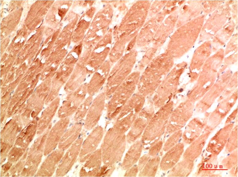 意大利贵宾会-贵宾会官方网站入口