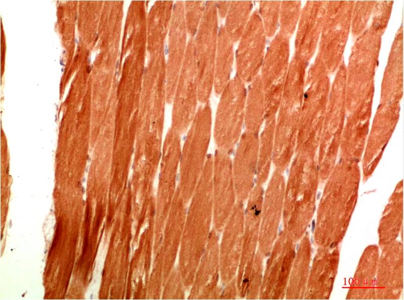 意大利贵宾会-贵宾会官方网站入口