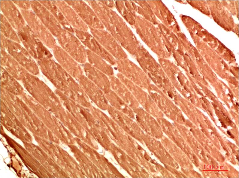 意大利贵宾会-贵宾会官方网站入口