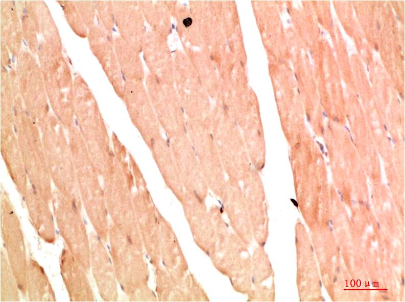 意大利贵宾会-贵宾会官方网站入口