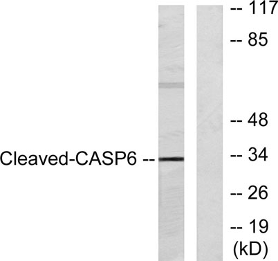 意大利贵宾会-贵宾会官方网站入口