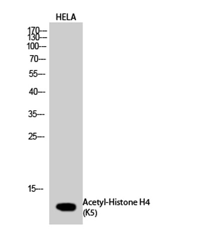 意大利贵宾会-贵宾会官方网站入口