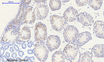 意大利贵宾会-贵宾会官方网站入口