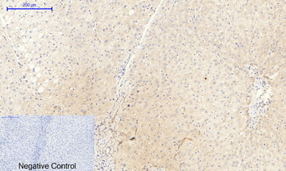 意大利贵宾会-贵宾会官方网站入口