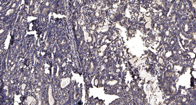 意大利贵宾会-贵宾会官方网站入口