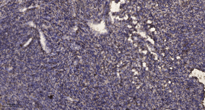 意大利贵宾会-贵宾会官方网站入口