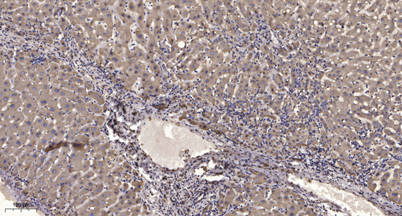 意大利贵宾会-贵宾会官方网站入口