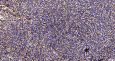 意大利贵宾会-贵宾会官方网站入口