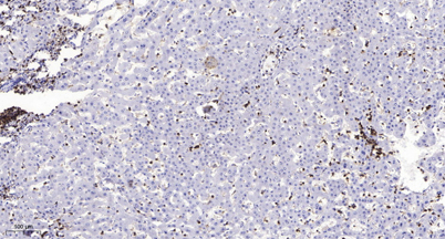 意大利贵宾会-贵宾会官方网站入口