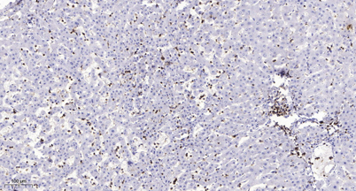 意大利贵宾会-贵宾会官方网站入口