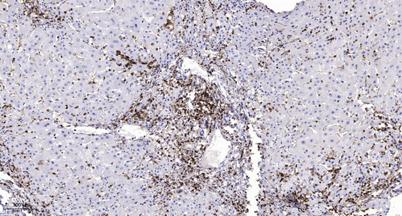 意大利贵宾会-贵宾会官方网站入口