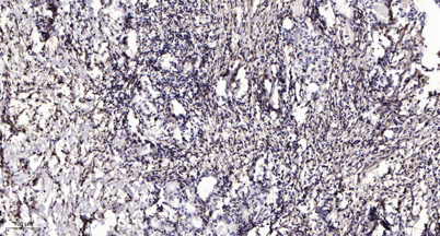 意大利贵宾会-贵宾会官方网站入口