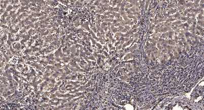 意大利贵宾会-贵宾会官方网站入口