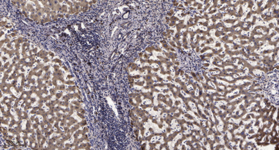 意大利贵宾会-贵宾会官方网站入口