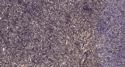 意大利贵宾会-贵宾会官方网站入口