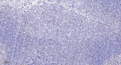 意大利贵宾会-贵宾会官方网站入口