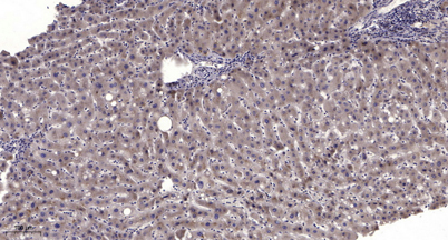 意大利贵宾会-贵宾会官方网站入口