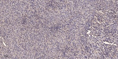 意大利贵宾会-贵宾会官方网站入口