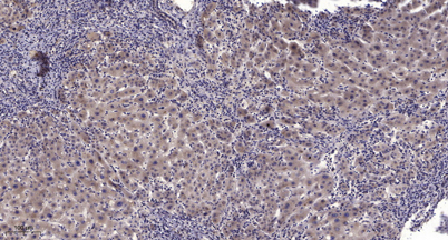意大利贵宾会-贵宾会官方网站入口