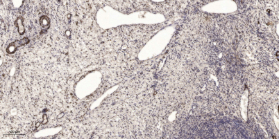 意大利贵宾会-贵宾会官方网站入口