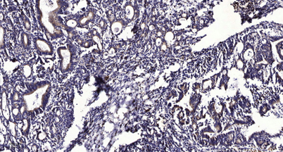 意大利贵宾会-贵宾会官方网站入口