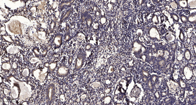 意大利贵宾会-贵宾会官方网站入口