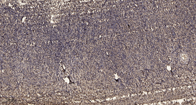 意大利贵宾会-贵宾会官方网站入口