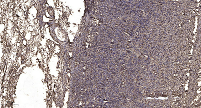 意大利贵宾会-贵宾会官方网站入口