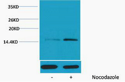 意大利贵宾会-贵宾会官方网站入口