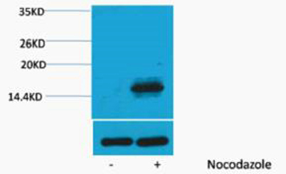 意大利贵宾会-贵宾会官方网站入口