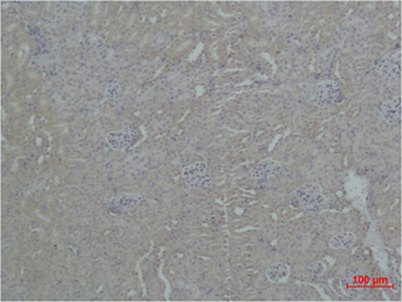 意大利贵宾会-贵宾会官方网站入口