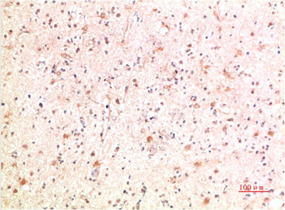 意大利贵宾会-贵宾会官方网站入口