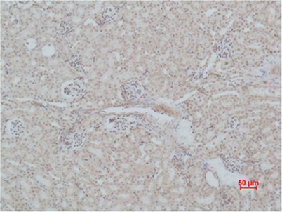 意大利贵宾会-贵宾会官方网站入口