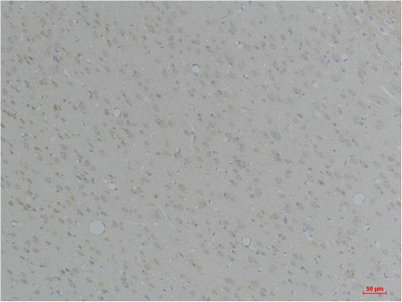 意大利贵宾会-贵宾会官方网站入口