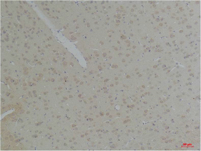 意大利贵宾会-贵宾会官方网站入口