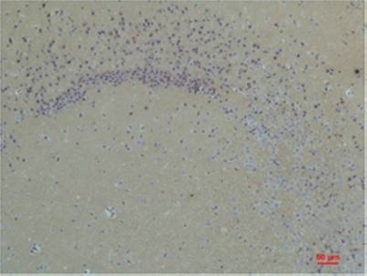 意大利贵宾会-贵宾会官方网站入口