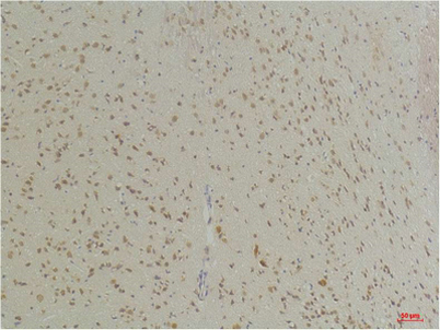 意大利贵宾会-贵宾会官方网站入口