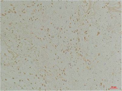 意大利贵宾会-贵宾会官方网站入口