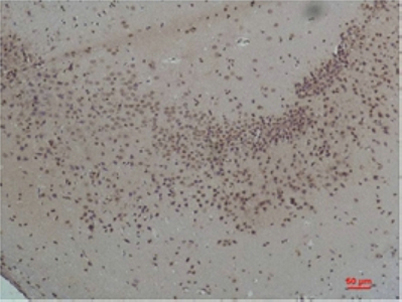意大利贵宾会-贵宾会官方网站入口