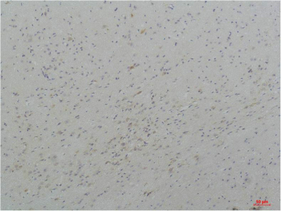 意大利贵宾会-贵宾会官方网站入口