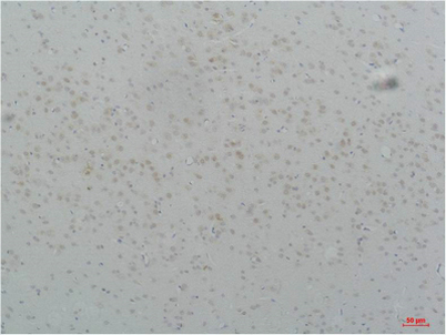 意大利贵宾会-贵宾会官方网站入口