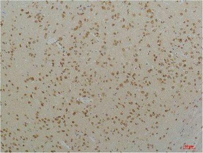 意大利贵宾会-贵宾会官方网站入口