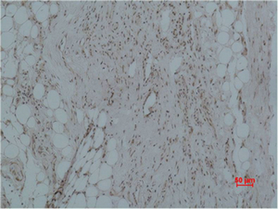 意大利贵宾会-贵宾会官方网站入口